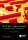 Image for Adult learning pathways  : through-routes or cul-de-sacs?