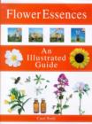 Image for Flower essences  : an illustrated guide