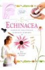 Image for Echinacea in a nutshell  : a step-by-step guide