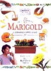 Image for Marigold
