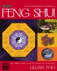 Image for The illustrated encyclopedia of feng shui  : the complete guide to the art and practice of feng shui