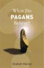 Image for What do Pagans believe?