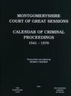 Image for Montgomeryshire Court of Great Sessions: Calendar of Criminal Proceedings 1541-1570
