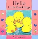 Image for Hello little duck