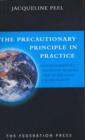 Image for The Precautionary Principle in Practice