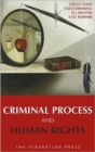 Image for Criminal Process and Human Rights