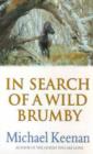 Image for In Search Of A Wild Brumby