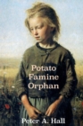 Image for Potato Famine Orphan