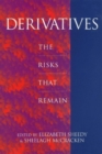 Image for Derivatives  : the risks that remain