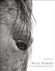 Image for Wild Horses of Cumberland Island