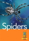 Image for Spiders