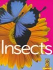 Image for Insects (Go Facts Animals)