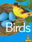 Image for Birds (Go Facts Animals)