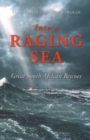 Image for Into the Racing Sea