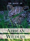 Image for Magic of African Wild Life