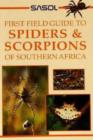 Image for Spiders and Scorpions of Southern Africa