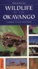 Image for Wildlife of the Okavango : Common Plants and Animals