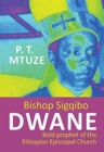 Image for Bishop Sigqibo Dwane : Controversial Prophet of the Ethiopian Episcopal Church