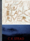 Image for The Black River