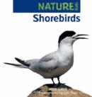 Image for Shorebirds (Nature Kids Series)