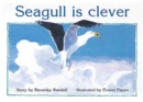 Image for Seagull is clever