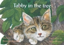Image for Tabby in the tree