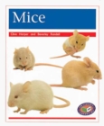Image for Mice
