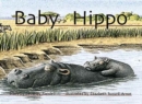 Image for Baby Hippo