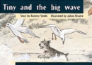 Image for Tiny and the big wave