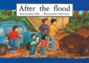 Image for After the flood