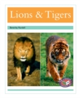 Image for Lions & Tigers