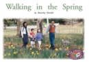 Image for Walking in the Spring
