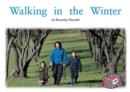 Image for Walking in the Winter