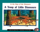 Image for A Troop of Little Dinosaurs