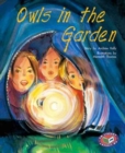 Image for Owls in the Garden