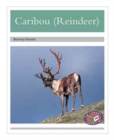 Image for Caribou (Reindeer)