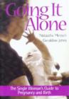 Image for Going it Alone : The Single Woman&#39;s Guide to Pregnancy and Birth.