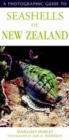 Image for Seashells of New Zealand