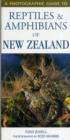 Image for A photographic guide to reptiles and amphibians of New Zealand