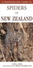 Image for Photographic Guide To Spiders Of New Zealand