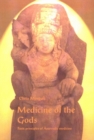 Image for Medicine of the gods  : basic principles of Ayurvedic medicine