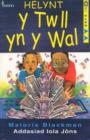 Image for Cyfres Cled: Helynt y Twll yn y Wal