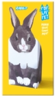 Image for Pop Up Pet Rabbit