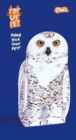 Image for Pop Up Pet Owl : Make your own 3D card pet!