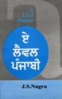 Image for Advanced Level Punjabi