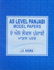 Image for AS Level Panjabi : Model Papers