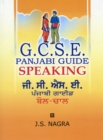 Image for GCSE Panjabi Guide: Speaking