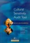 Image for Cultural Sensitivity Audit Tool