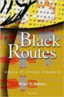 Image for Black routes  : legacy of African diaspora