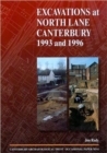 Image for Excavations at North Lane, Canterbury 1993 and 1996